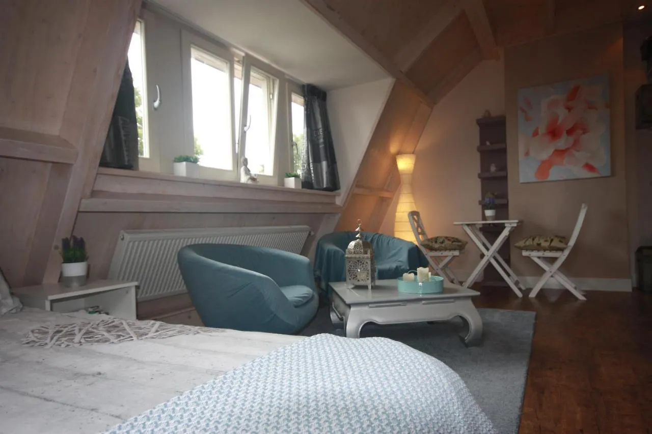 ** Bed & Breakfast De Pimpelmees Bed and Breakfast Den Haag Nederland